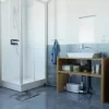 Sanishower Plus Insitu